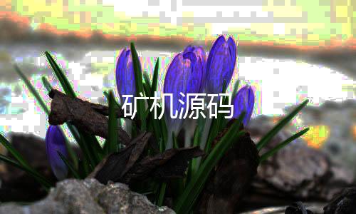 矿机源码-挖矿源码-zunyueyuanma.com
