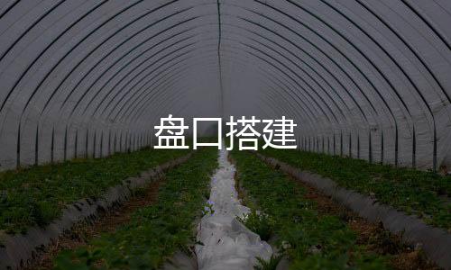 盘口搭建-DAPP交易所源码-zunyueyuanma.com