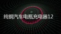 纯铜汽车电瓶充电器12V24V伏大功率充电机小车智能通用脉冲修复型