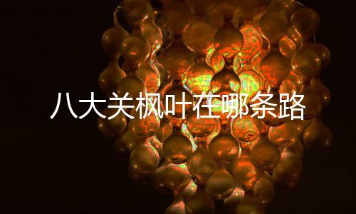 多语言投资盘-交割合约-zunyueyuanma.com