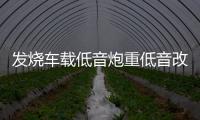 发烧车载低音炮重低音改装超薄座位下有源带功放蓝牙专用音响12v