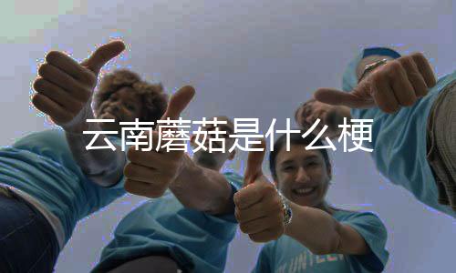 澳洲5-海外理财-zunyueyuanma.com