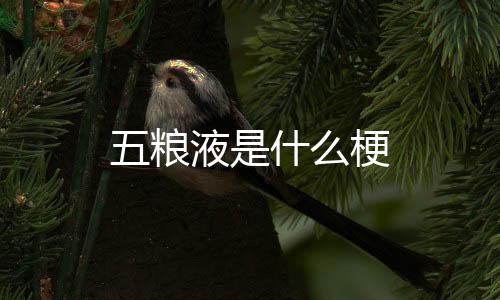 亲朋乐斗二开-五粮液是什么梗-zunyueyuanma.com