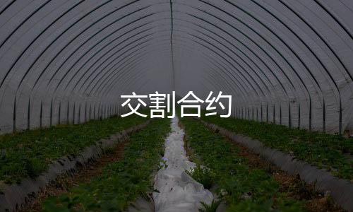 交割合约-盗U-zunyueyuanma.com