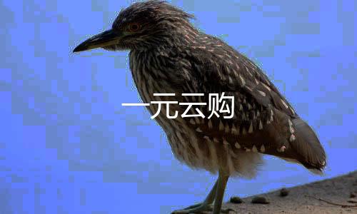 一元云购-足球竞猜源码-zunyueyuanma.com