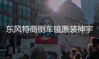 东风特商倒车镜原装神宇擎宇三环大运风度倒车镜汽车反光镜后视镜