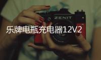 乐牌电瓶充电器12V24V伏纯铜多功能通用大功率摩托汽车电池充电机