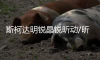斯柯达明锐晶锐昕动/昕锐/速派原装60AH骆驼蓄电池L2-400汽车电瓶