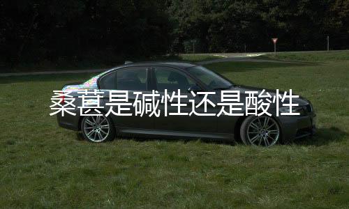 糖果派对源码-桑葚是碱性还是酸性-zunyueyuanma.com