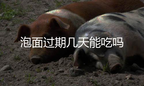 挖矿-质押挖矿源码-zunyueyuanma.com