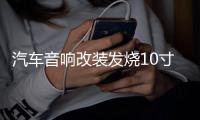 汽车音响改装发烧10寸12寸双音圈重低音纯低音车载无源低音炮喇叭