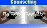 汽车音响改装D类单路数字大功率双音圈超重纯低音无源低音炮功放