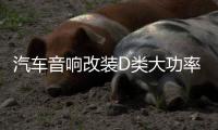 汽车音响改装D类大功率发烧级车载纯重低音功放主推双音圈低音炮