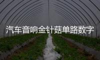 汽车音响金针菇单路数字大功率双音圈超重纯低音无源低音炮功放板