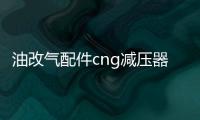 油改气配件cng减压器单点减压阀洛瓦托减压器汽车天然气配件改装