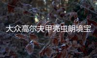 大众高尔夫甲壳虫朗境宝来途安尚酷原装电瓶瓦尔塔60安汽车蓄电池