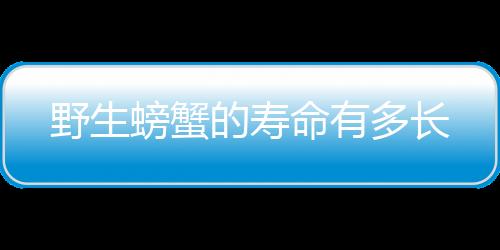 期货投资源码-图库论坛源码-zunyueyuanma.com