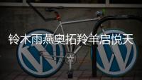 铃木雨燕奥拓羚羊启悦天语SX4尚悦1.5L原装汽车电瓶45A风帆蓄电池
