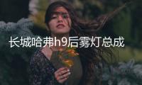 长城哈弗h9后雾灯总成 哈佛H9 后保险杠灯 后左右尾灯汽车配件