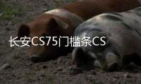 长安CS75门槛条CS75plus改装内饰车贴配件汽车迎宾踏板防刮踩踏贴
