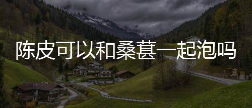 保利娱乐-陈皮可以和桑葚一起泡吗-zunyueyuanma.com