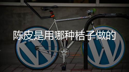 巴西电子游戏源码-矿机源码-zunyueyuanma.com
