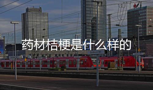 扎金花-大富豪源码-zunyueyuanma.com