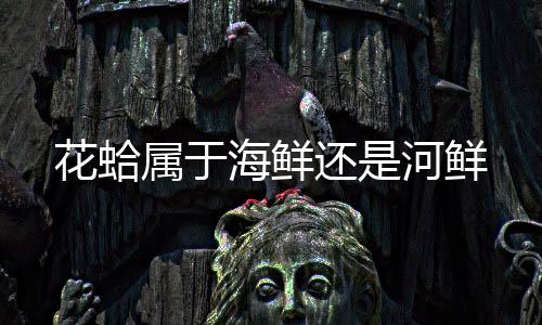 足球竟彩-真人视讯-zunyueyuanma.com