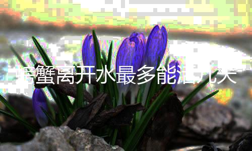 直播盗U-银行模拟器-zunyueyuanma.com