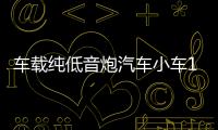 车载纯低音炮汽车小车12V大货车24V超重低音有源蓝牙功放音响改装