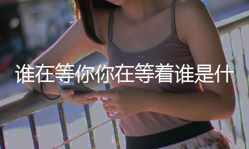 杀猪盘-谁在等你你在等着谁是什么歌-zunyueyuanma.com
