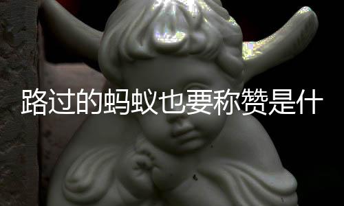 算例租赁源码-金蟾捕鱼源码-zunyueyuanma.com