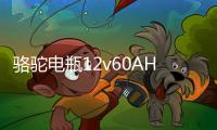 骆驼电瓶12v60AH适配伊兰特吉利远景55D23东风风光580汽车蓄电池