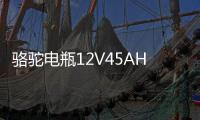 骆驼电瓶12V45AH适配长安面包车五菱宏光S轩逸思域十代汽车蓄电池