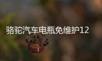 骆驼汽车电瓶免维护12V45AH 46B24R适配五菱宏光吉利金刚夏利森雅