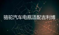骆驼汽车电瓶适配吉利博越福特福睿斯福克斯T6(60AH)蓄电池
