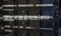 骆驼天鹅蓄电池58500免维护12V48AH五菱之光荣光原装汽车电瓶