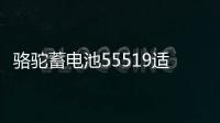 骆驼蓄电池55519适配福克斯嘉年华传祺赛欧名爵汽车电瓶12V55ah