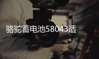骆驼蓄电池58043适用于奥迪A6宝马3系奔驰揽胜汽车电瓶 以旧换新