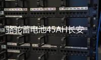 骆驼蓄电池45AH长安之星2/3东方小康K17/C37小面包车原装汽车电瓶
