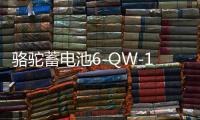 骆驼蓄电池6-QW-180适用东风卡车客车货车工程汽车电瓶 以旧换新