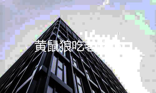 黄金外汇股票源码-多多来了-zunyueyuanma.com