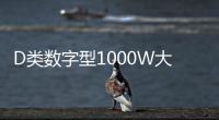 D类数字型1000W大功率发烧级超重纯低音无源双音圈低音炮功放