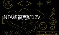 NFA纽福克斯12V 25A全自动汽车电瓶充电器蓄电池充电机 引擎启动