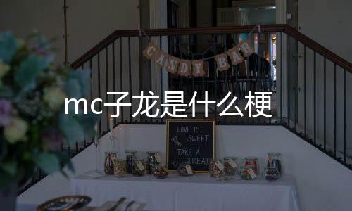 熊猫互娱-mc子龙是什么梗-zunyueyuanma.com